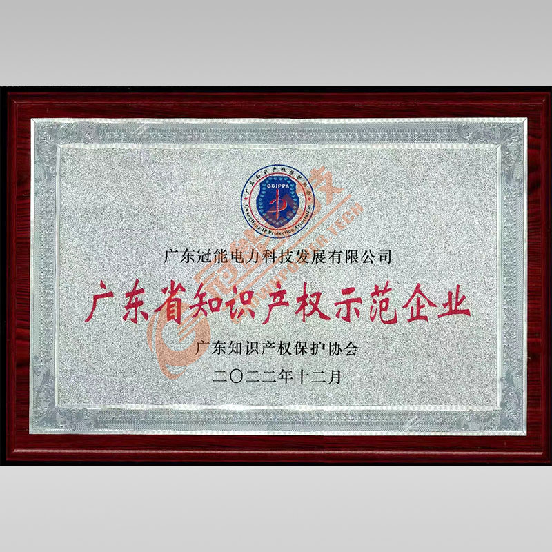 廣東省知識產權示范企業(yè)